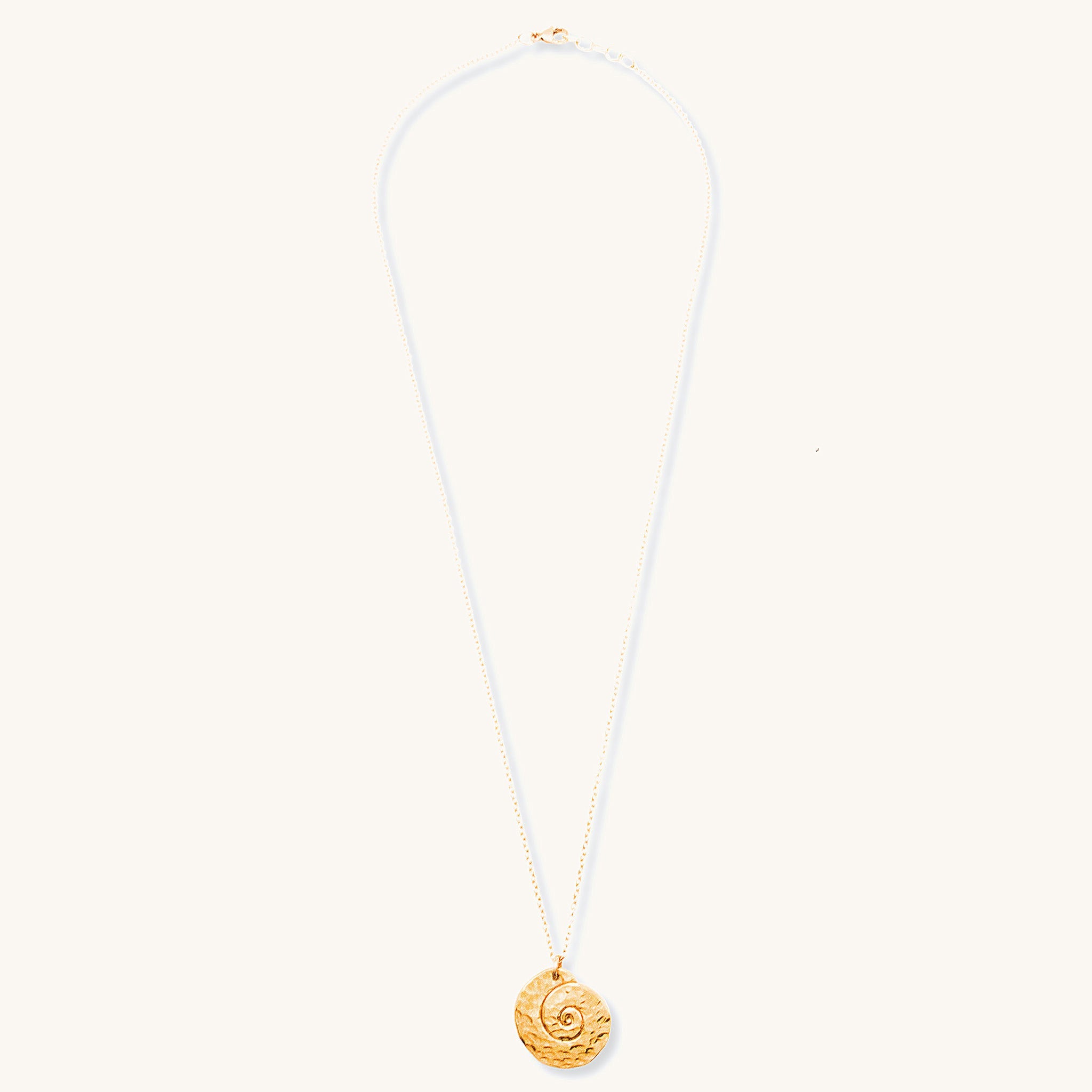 Gilded Nautilus Medallion - Necklaces